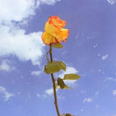 爆炸之地游戏下载