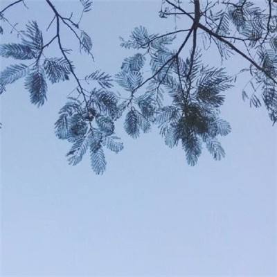 少年闯江湖游戏下载